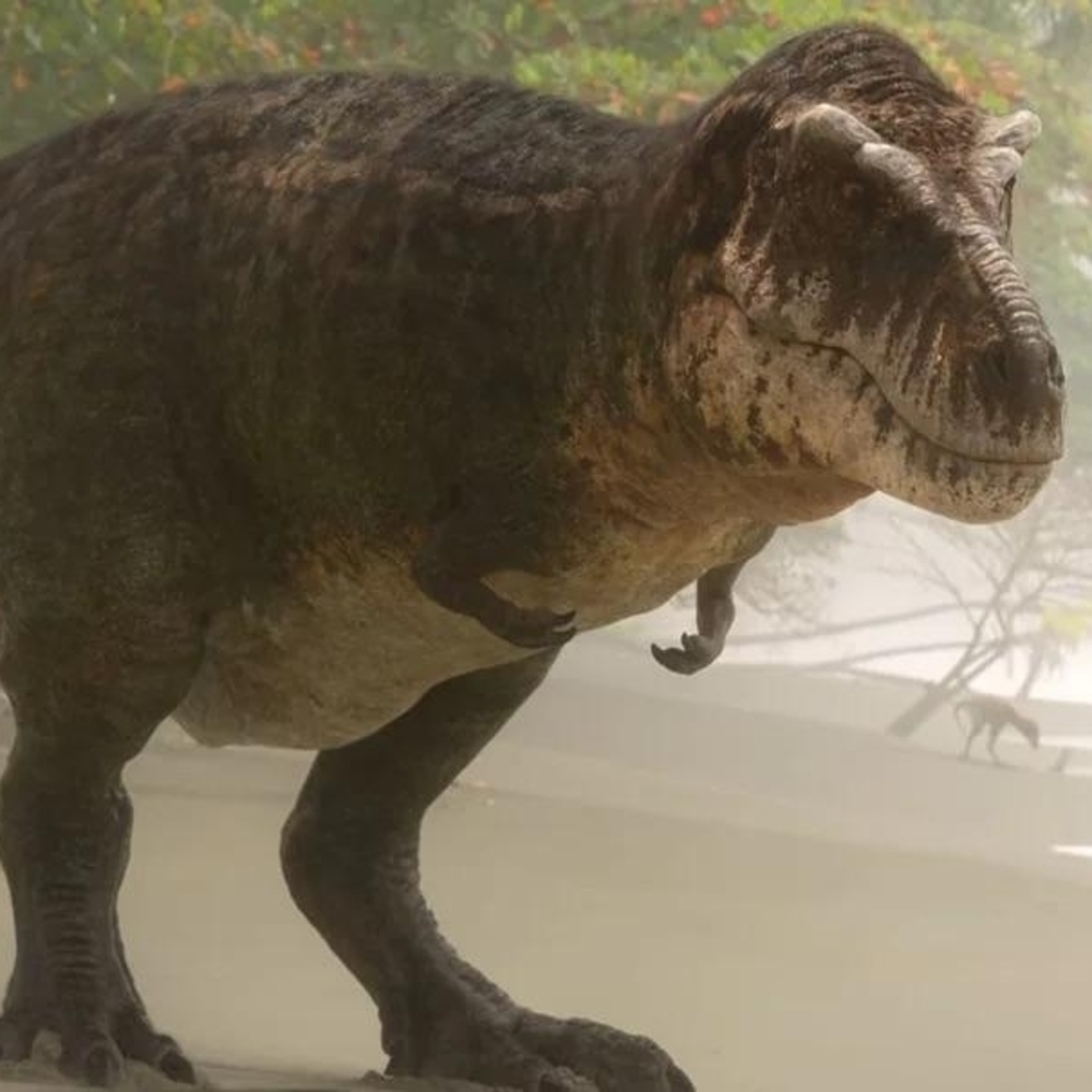 Tyrannosaurus rex ("tyrant lizard king")